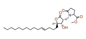 Amphiasterin C1